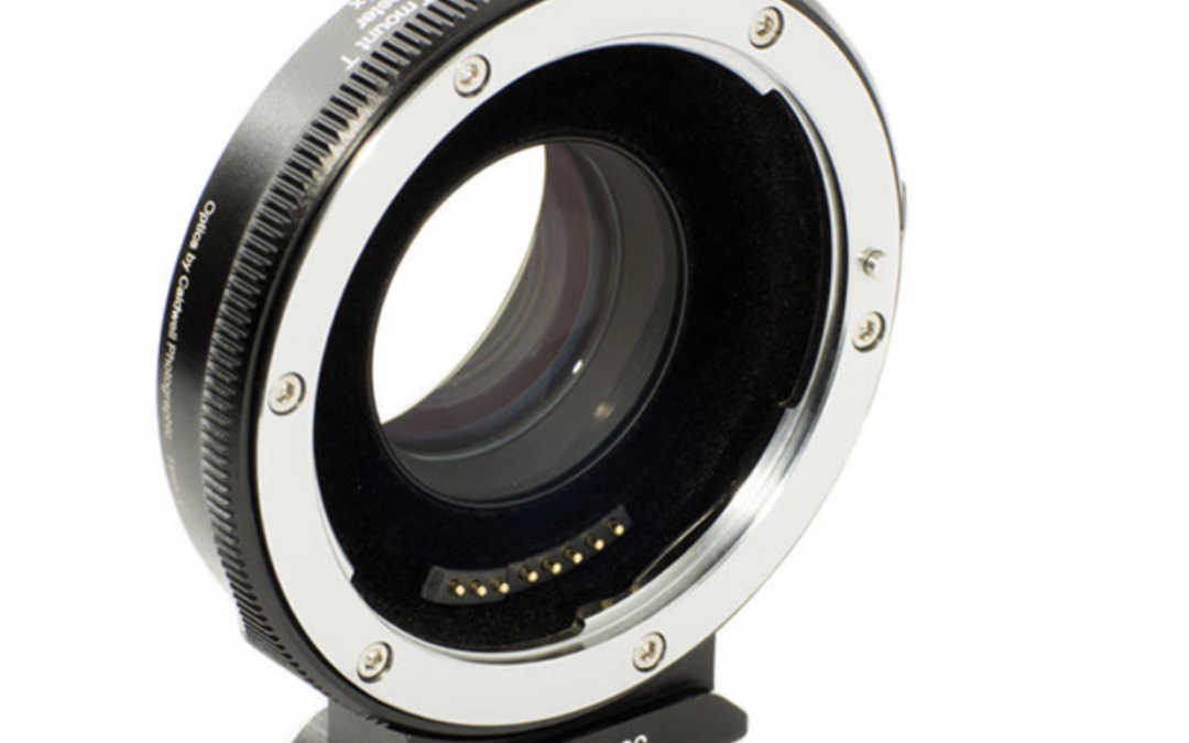 Metabones #2